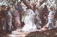 Enlarge photo 115