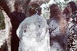Enlarge photo 116