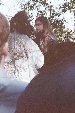 Enlarge photo 127
