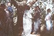 Enlarge photo 128