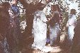 Enlarge photo 130