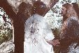 Enlarge photo 132