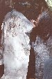 Enlarge photo 135
