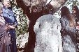 Enlarge photo 136