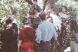 Enlarge photo 152
