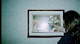 Enlarge photo 187