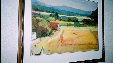 Enlarge photo 188