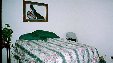 Enlarge photo 194