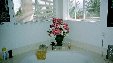 Enlarge photo 196