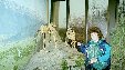 Enlarge photo 203