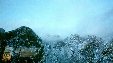 Enlarge photo 206