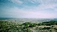 Enlarge photo 213