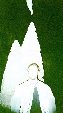 Enlarge photo 214