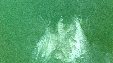 Enlarge photo 219