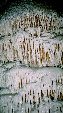 Enlarge photo 215