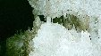 Enlarge photo 217