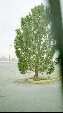 Enlarge photo 224