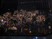 Enlarge photo 25