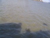 Enlarge photo 43