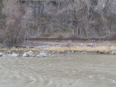 Enlarge photo 45