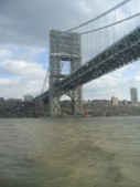 Enlarge photo 49