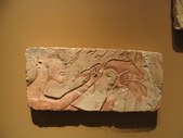 Enlarge photo 75