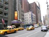 Enlarge photo 119