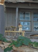 Enlarge photo 31