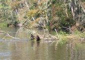 Enlarge photo 36