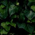 Enlarge photo 1
