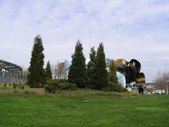 Enlarge photo 18