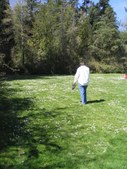 Enlarge photo 33