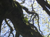 Enlarge photo 37
