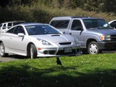 Enlarge photo 38