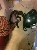 Enlarge photo 7