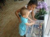 Enlarge photo 11