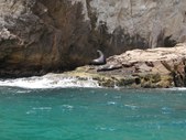 Enlarge photo 19