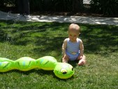 Enlarge photo 14