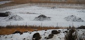 Enlarge photo 46
