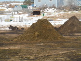 Enlarge photo 50