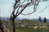 Enlarge photo 20