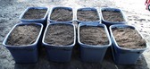 Rabbit Compost