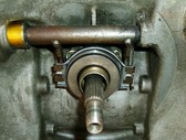 Enlarge photo 73