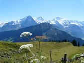 Trip nach Bern und ins Berner Oberland