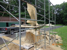 Enlarge photo 5