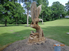 Enlarge photo 18