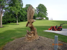 Enlarge photo 19
