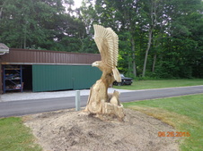 Enlarge photo 20