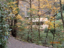 Enlarge photo 5