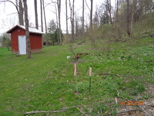Enlarge photo 28